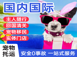 朝阳机场邮寄国际宠物托运 【国